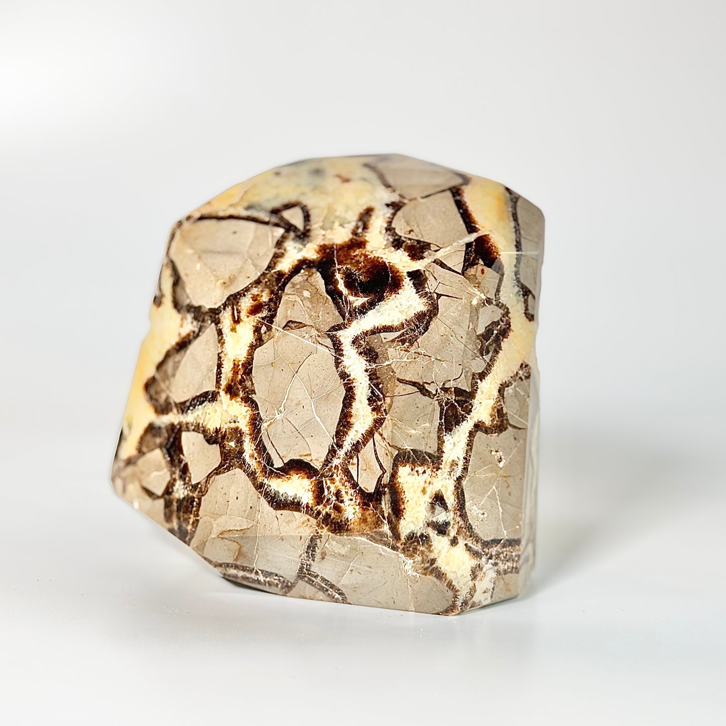 Septarian free form with Druzy - 2 Kg