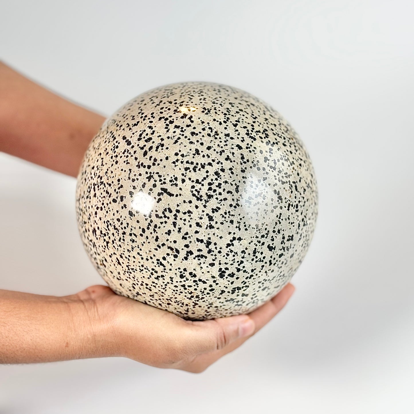 Dalmatian Jasper Extra Large Sphere - 5 Kg | Promotes Joy & Release Negativity