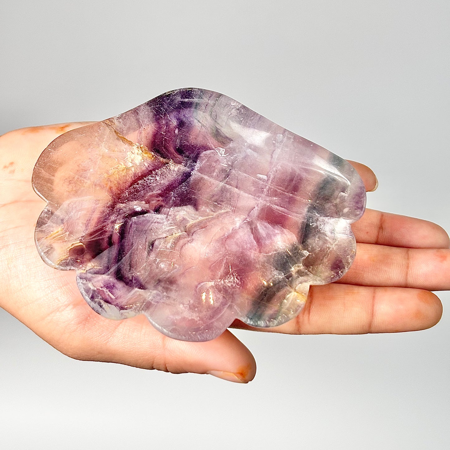 Multi Fluorite Shell Shape Bowl