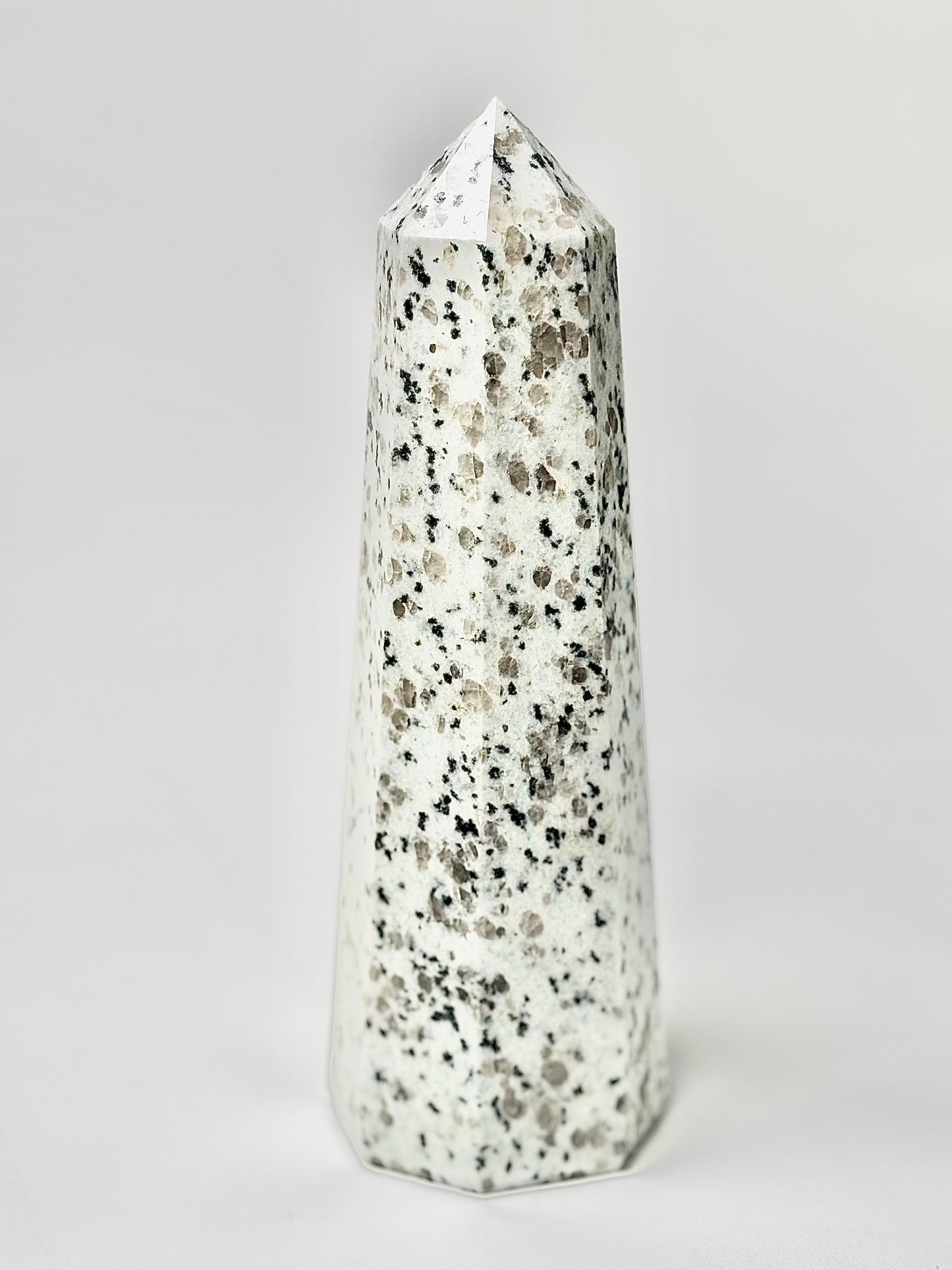Eight Facet Indian Dalmatian Jasper Tower – 1.1 Kg - (A) Playful Elegance & Balanced Design