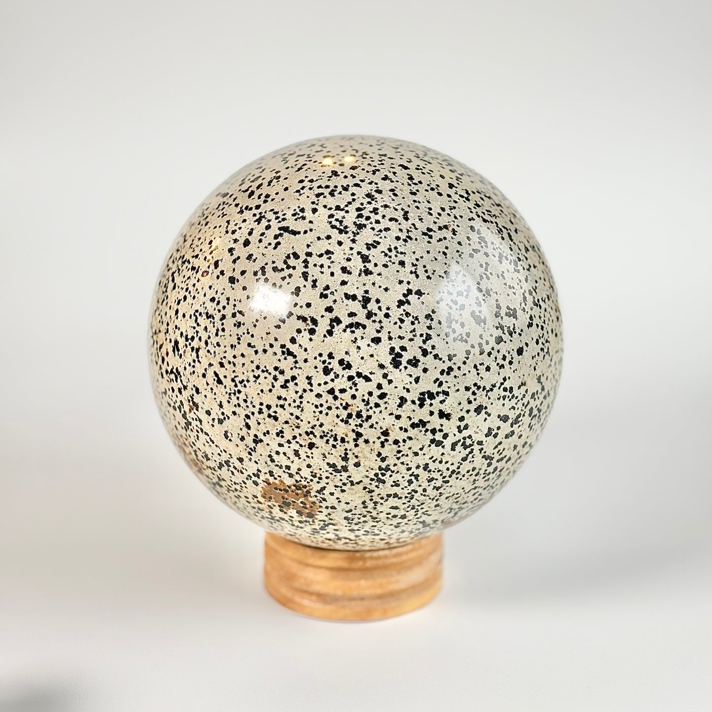 Dalmatian Jasper Extra Large Sphere - 5 Kg | Promotes Joy & Release Negativity