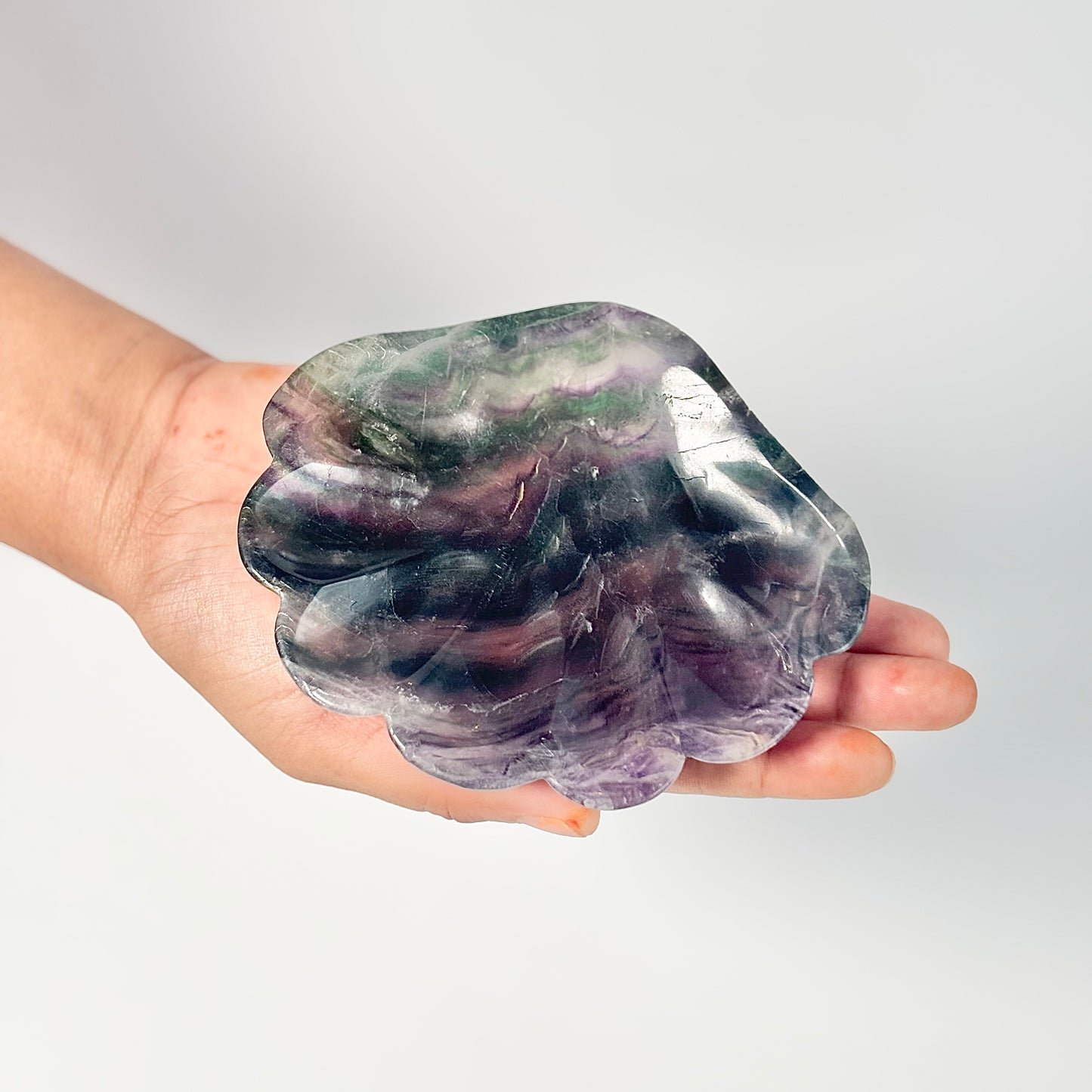 Multi Fluorite Shell Shape Bowl