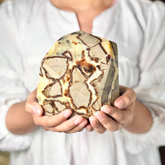 Septarian  free form with Druzy - 2 Kg