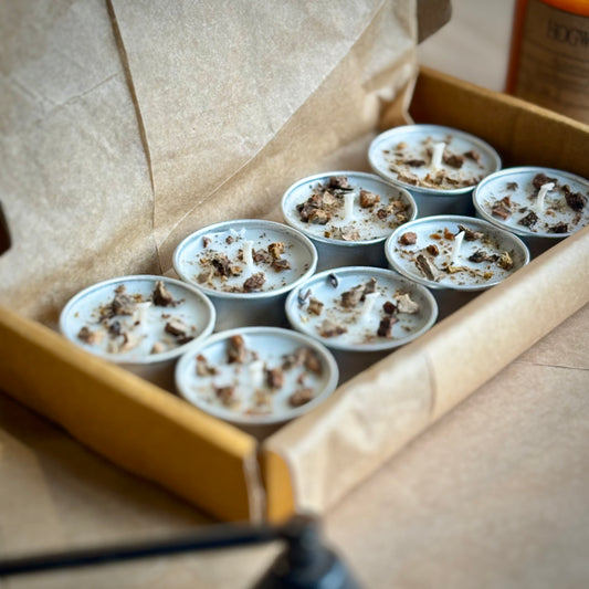 Angelica Infused Soy Wax Tealight Candles – Unscented