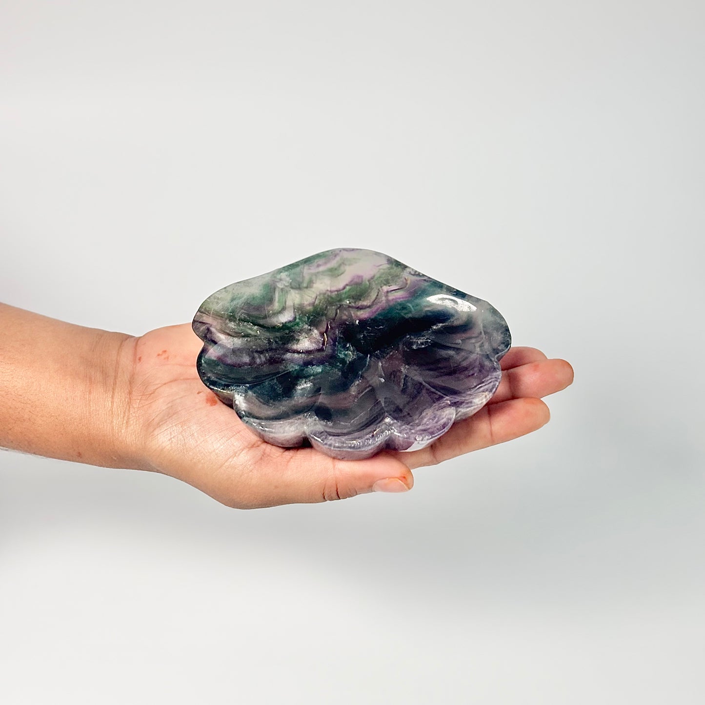 Multi Fluorite Shell Shape Bowl