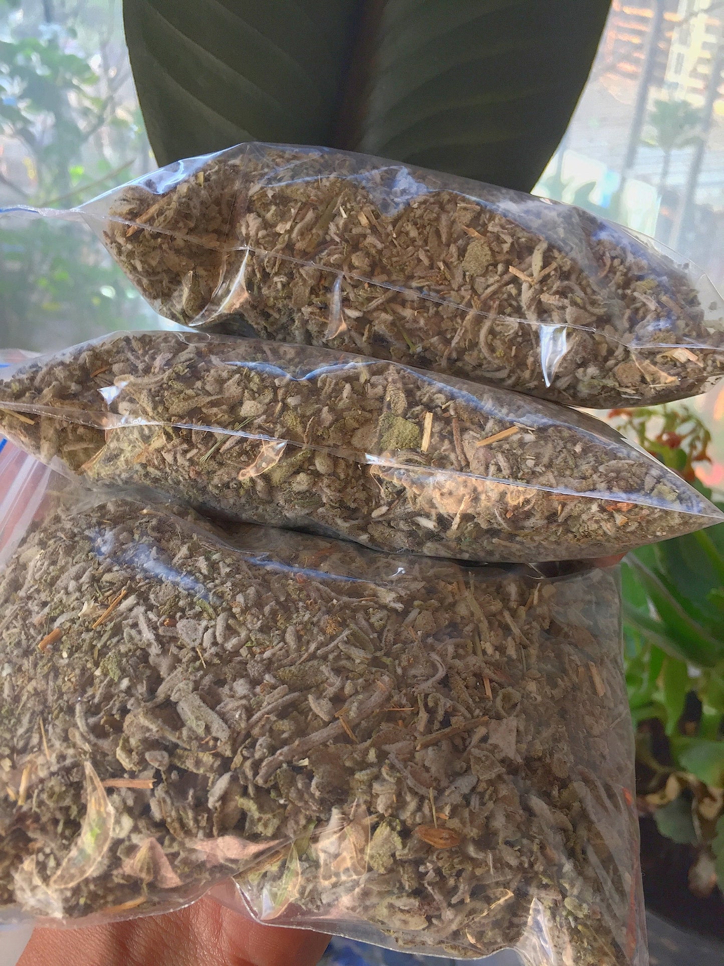 Loose Sage Herb Cut - 50 Gm Herbs