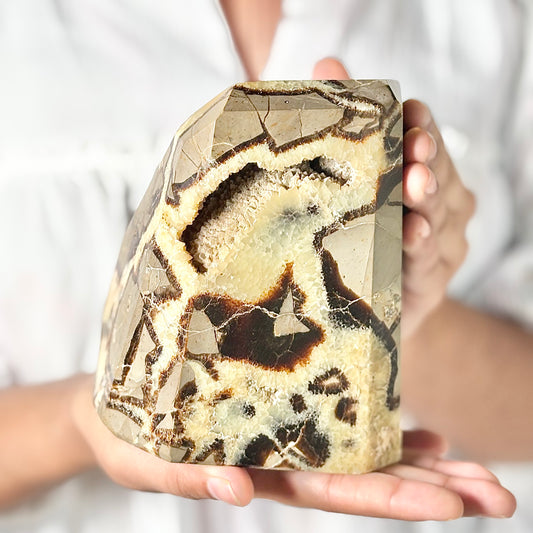 Septarian  free form with Druzy - 2 Kg