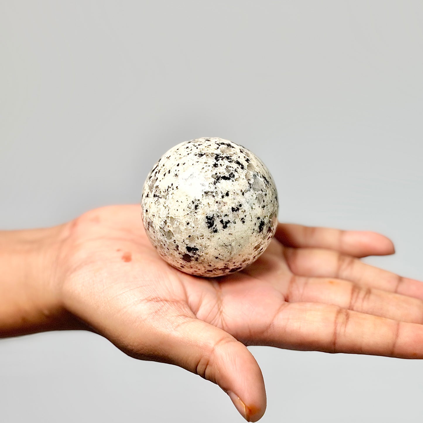 Dalmatian Jasper Sphere - Promotes Joy & Release Negativity