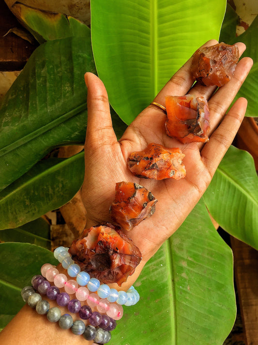 Orange Carnelian Rough Stone - 2 Piece | Of Motivation & Success Crystal Stones