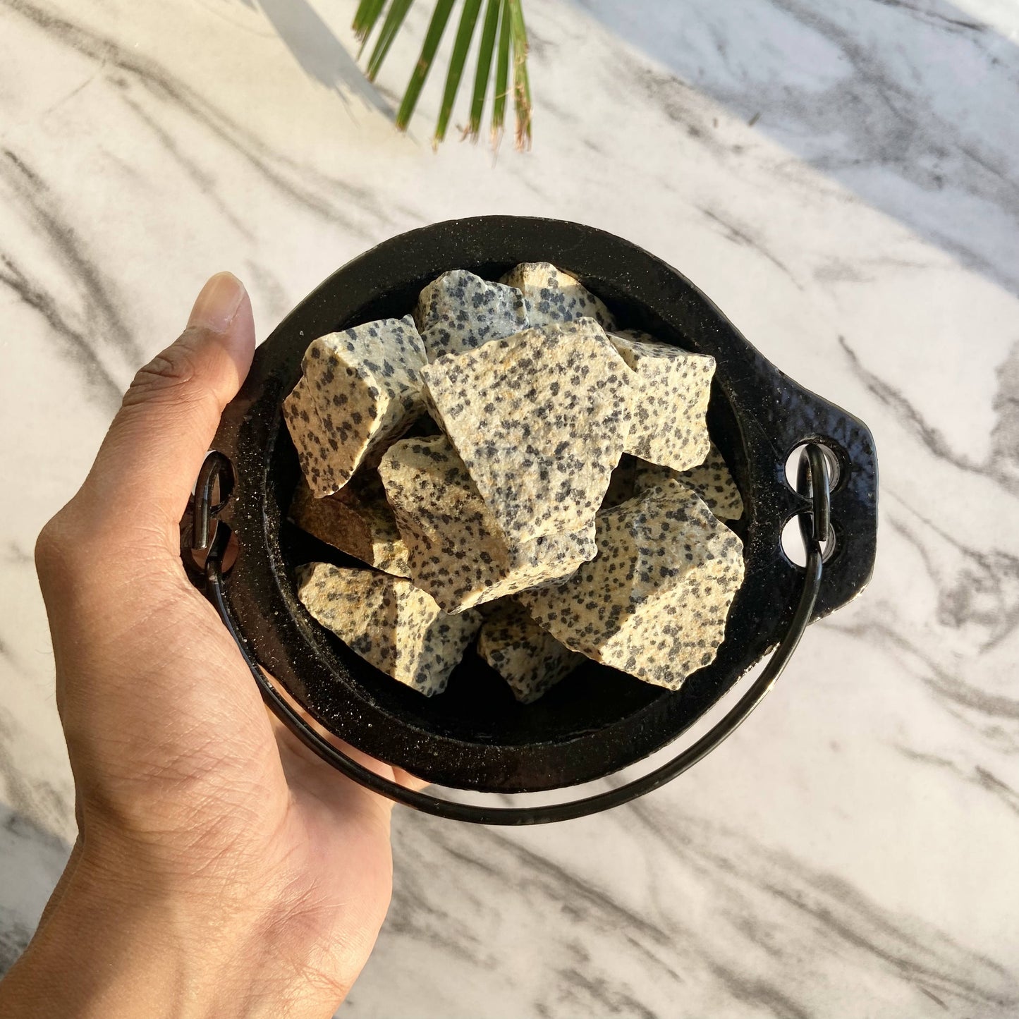 Dalmatian Jasper Raw Stone | Promotes Joy & Release Negativity Crsytal Stones