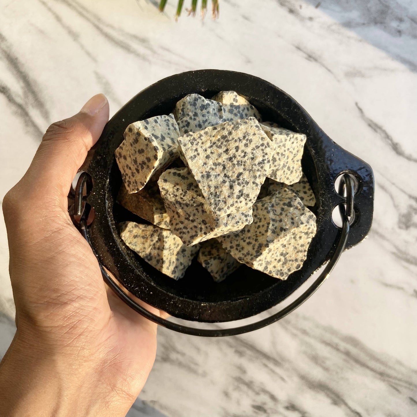 Dalmatian Jasper Raw Stone | Promotes Joy & Release Negativity Crsytal Stones