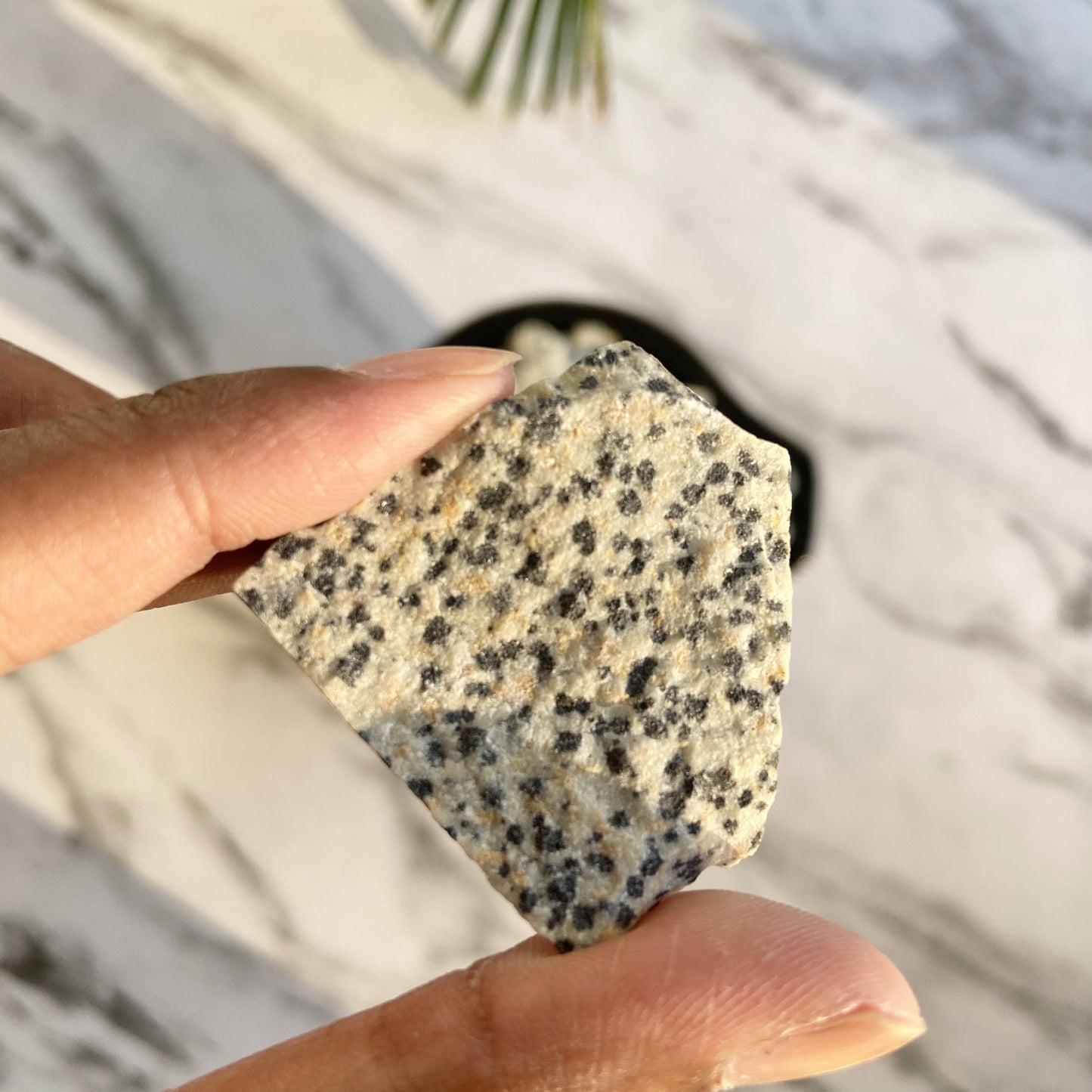 Dalmatian Jasper Raw Stone | Promotes Joy & Release Negativity Crsytal Stones