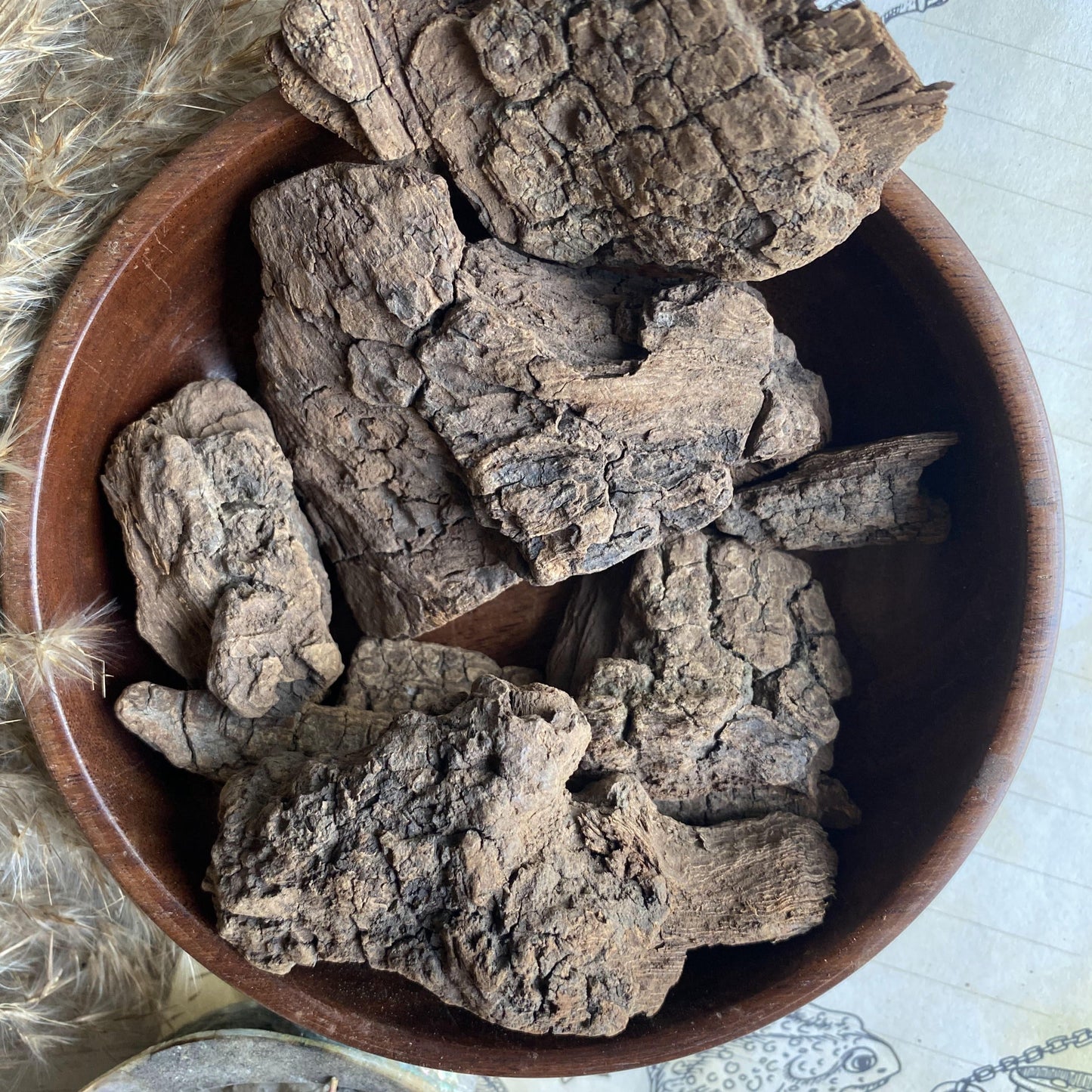 Jezebel Bark - 30 Gram Herbs & Roots
