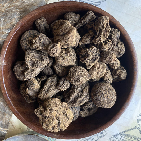 High John The Conqueror Root - 40 Gram Herbs & Roots