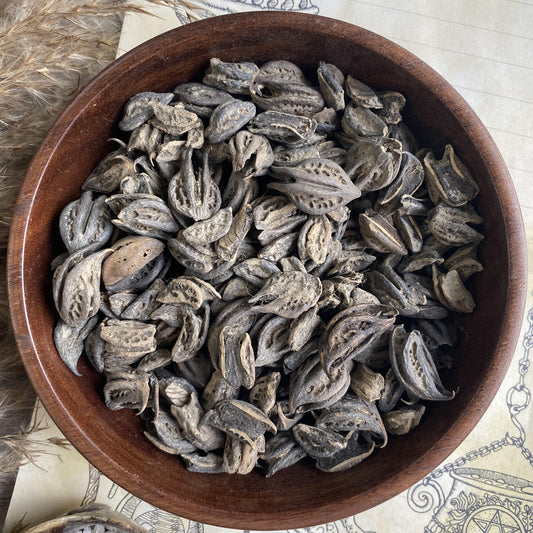 Devil Claw - 30 Gm Herbs & Roots