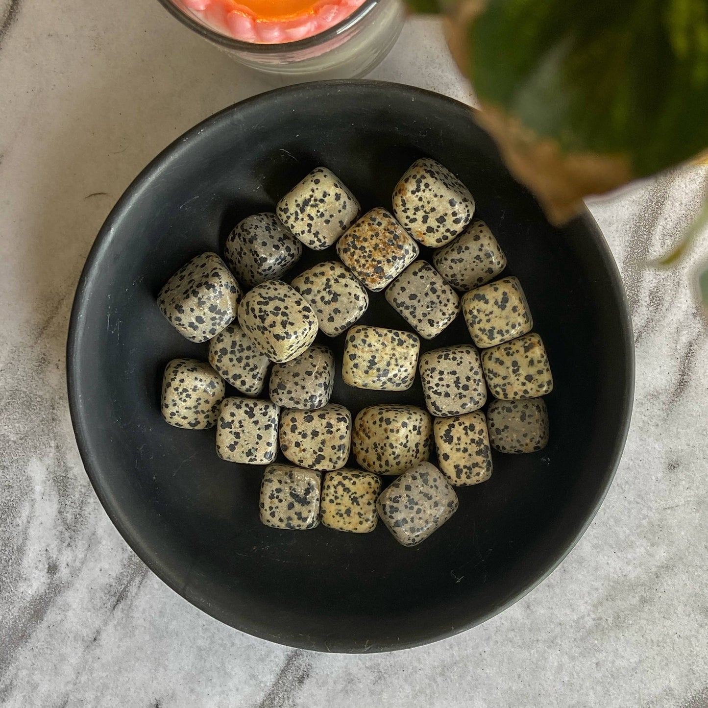 Dalmation Jasper Tumble Stone | Promotes Joy & Release Negativity Crystal Stones