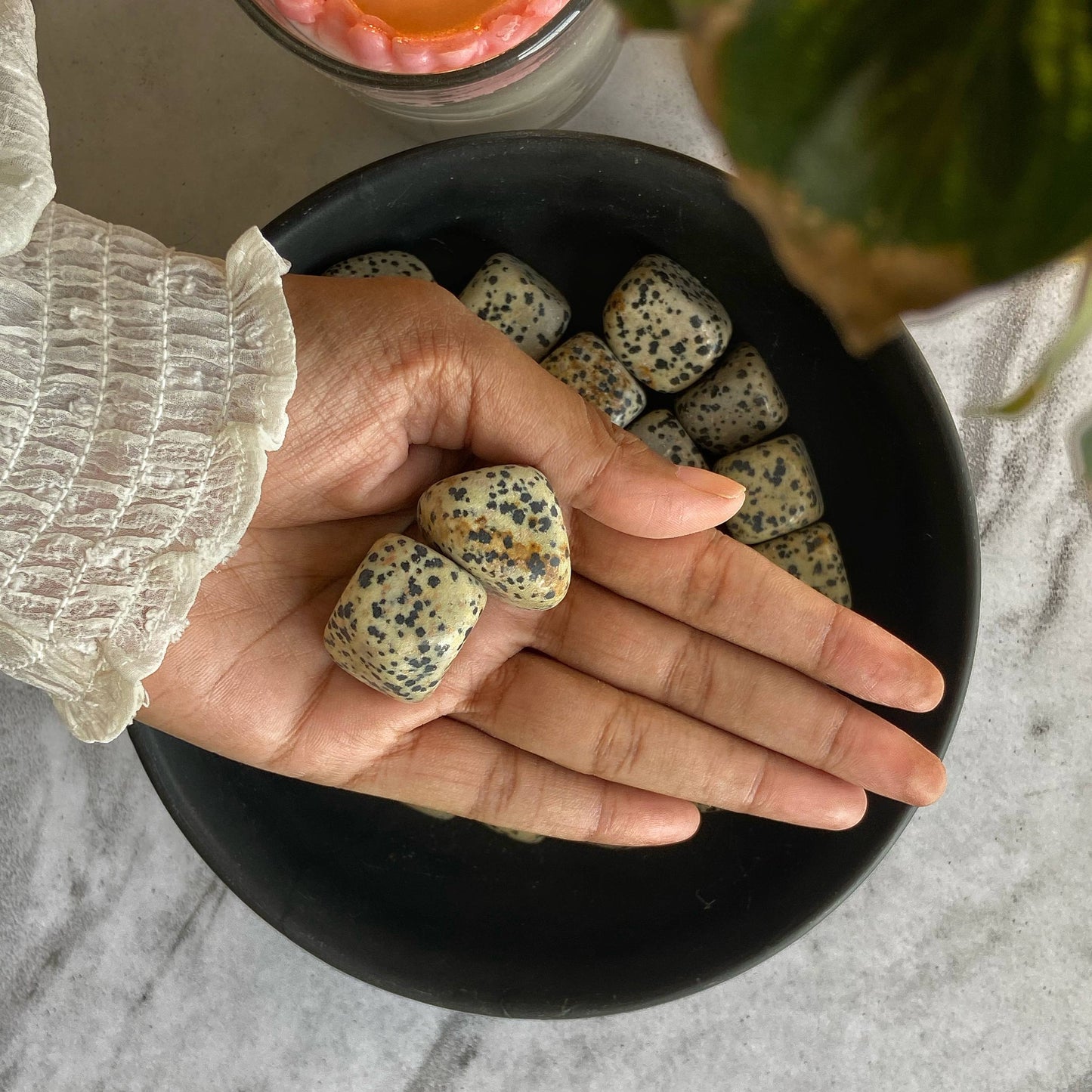 Dalmation Jasper Tumble Stone | Promotes Joy & Release Negativity Crystal Stones
