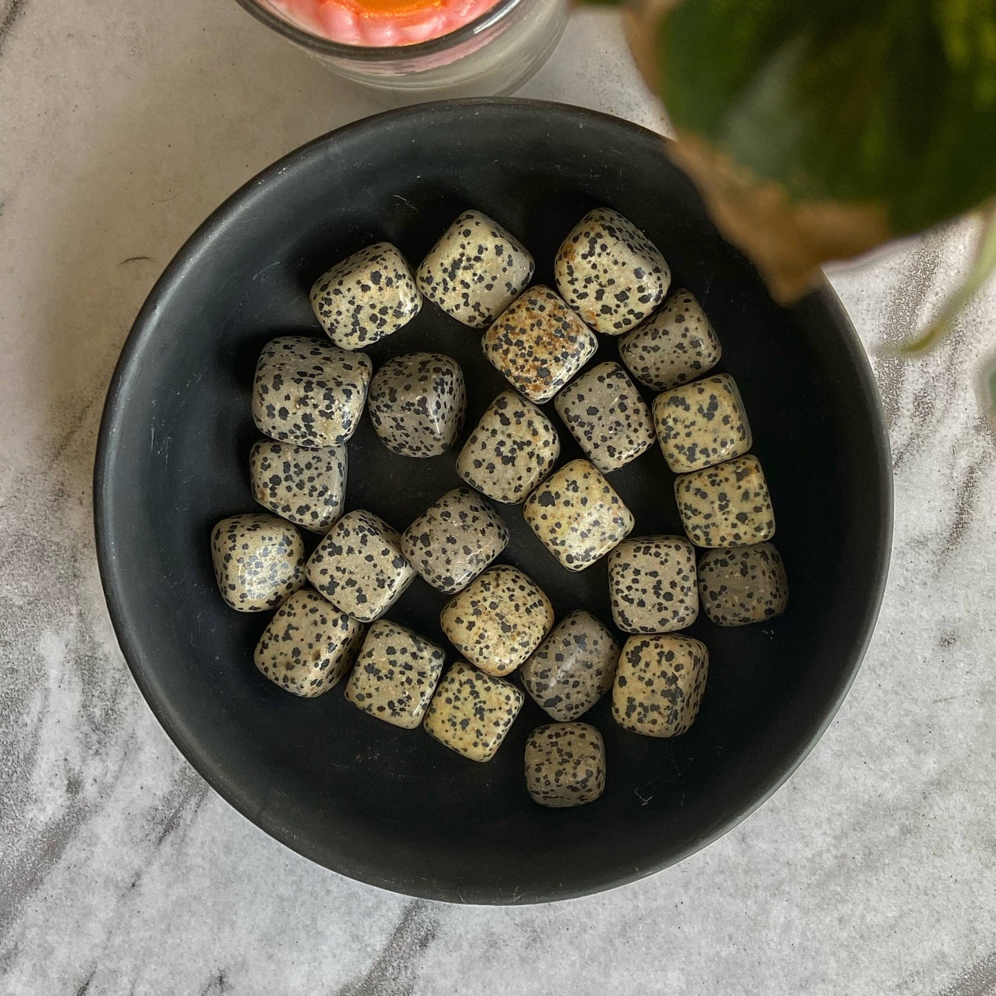 Dalmation Jasper Tumble Stone | Promotes Joy & Release Negativity Crystal Stones