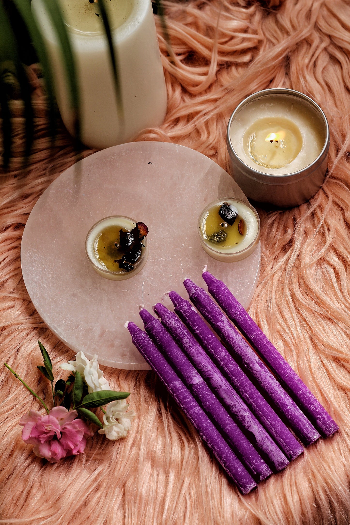 Violet Candle Online India