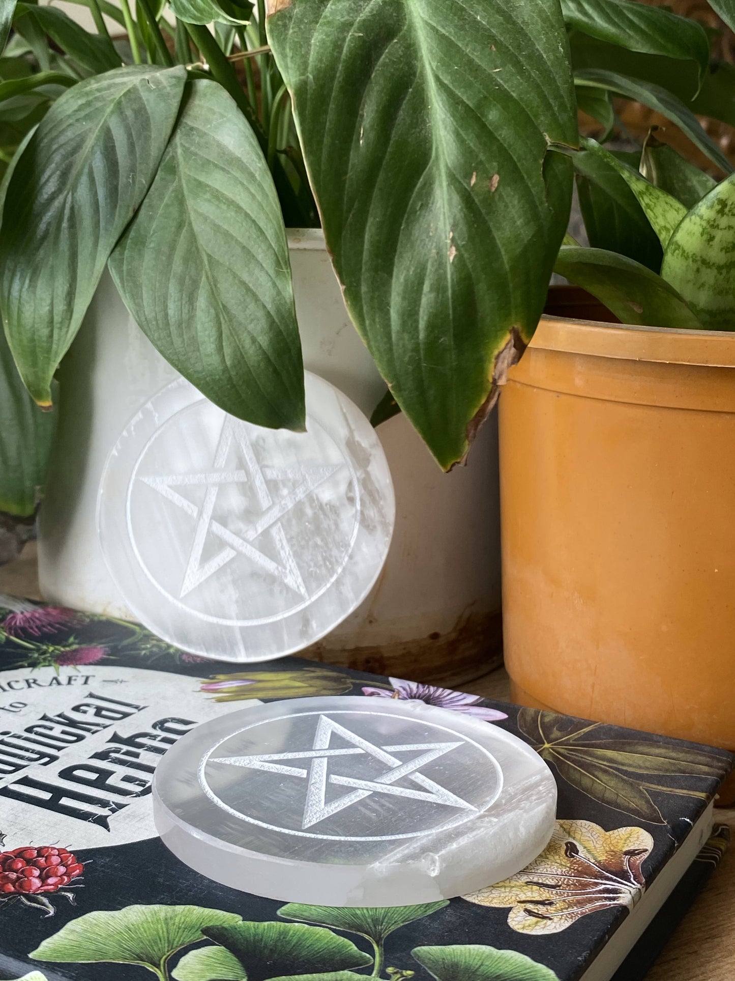 Pentacle Selenite Plate Crystal & Stones