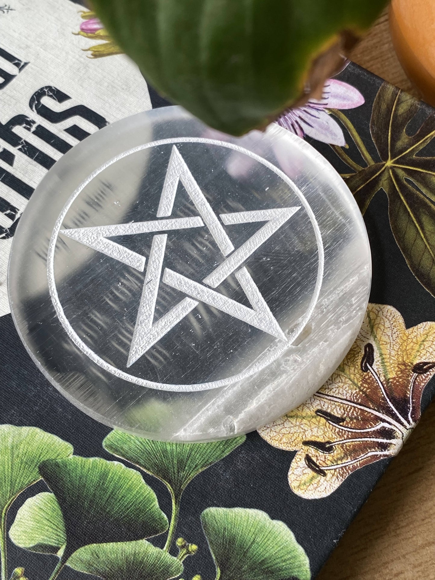 Pentacle Selenite Plate Crystal & Stones