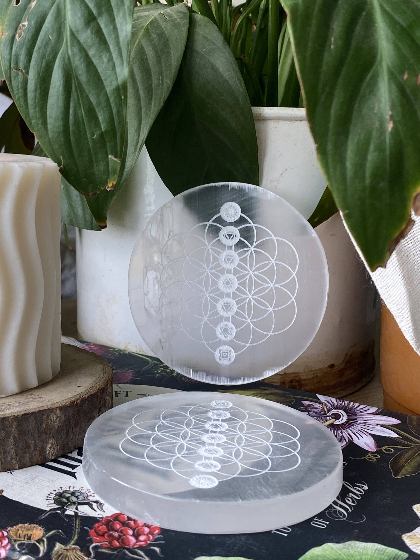 Flower Of Life With Seven Chakra Symbol Carved Selenite Plate Crystal & Stones