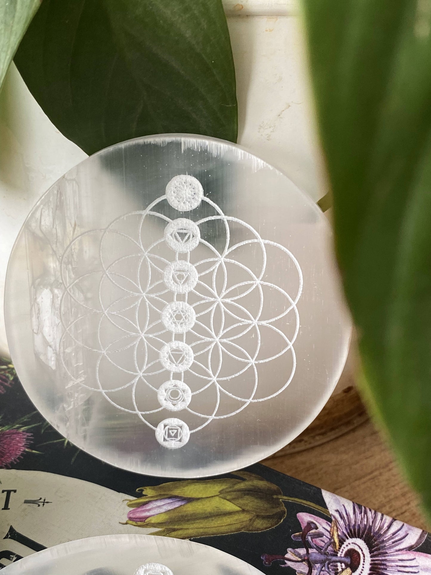 Flower Of Life With Seven Chakra Symbol Carved Selenite Plate Crystal & Stones