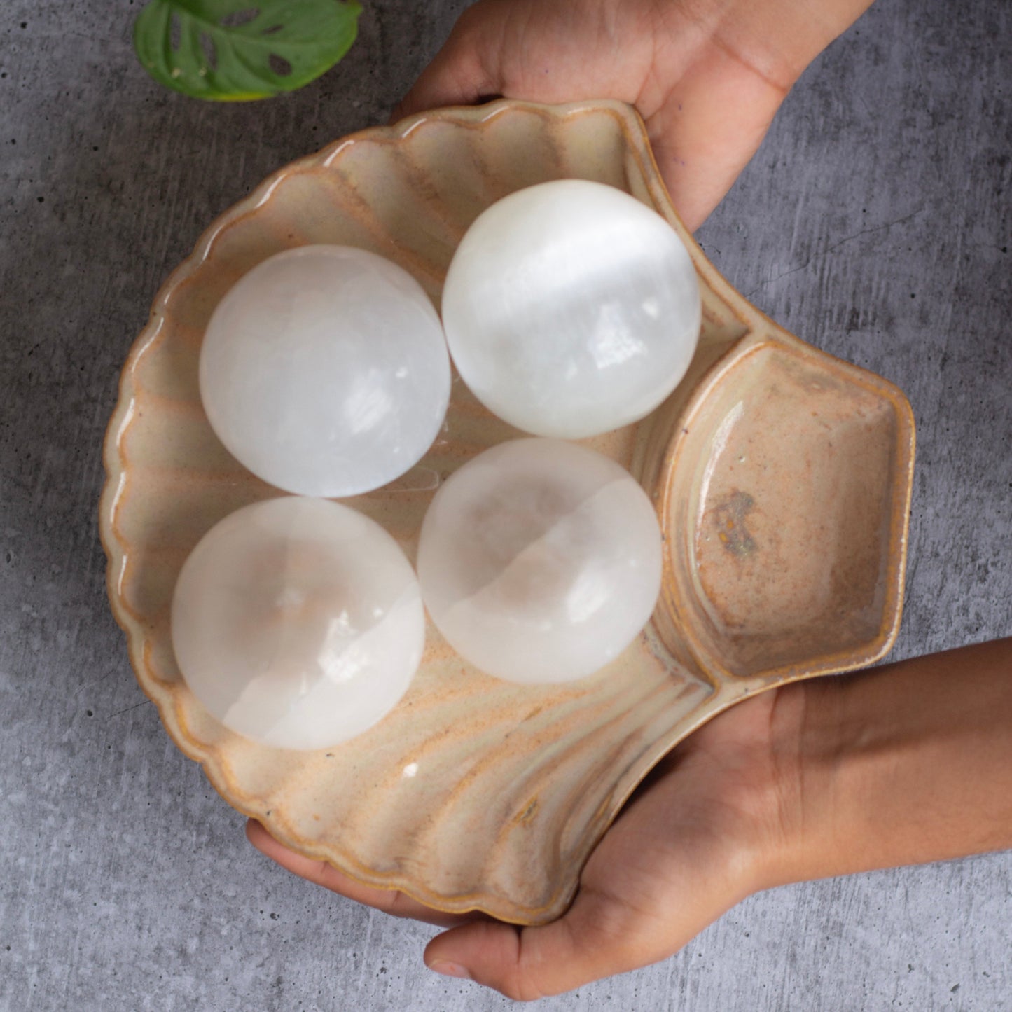Selenite Medium Size Sphere | Cleansing & Purification Crown Chakra Crystal Stones