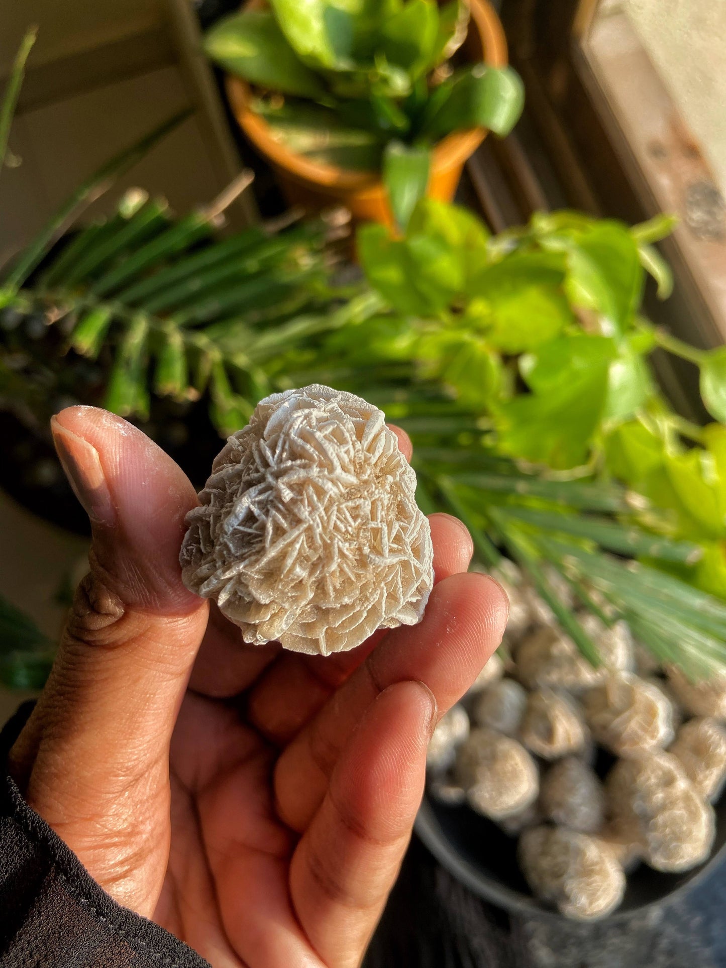 Desert Rose Crystals & Stones