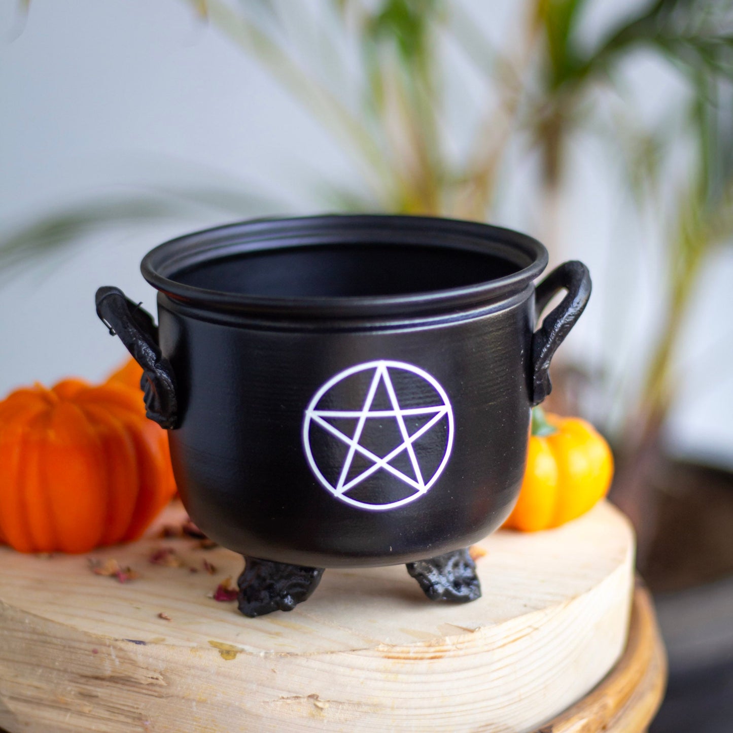 Pentacle Print Cauldron Altarware | Altar