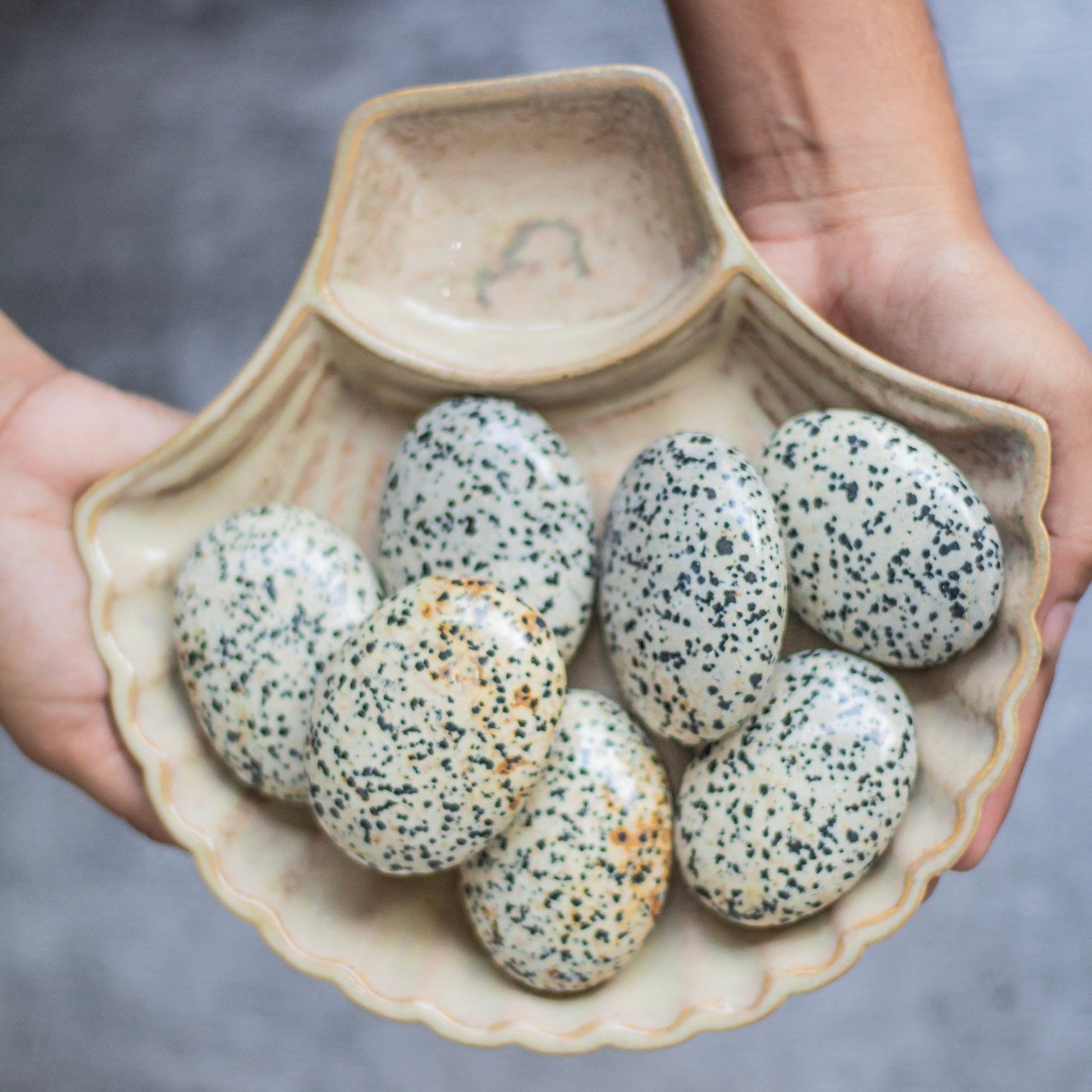 Dalmatian Jasper Palm Stone | Promotes Joy & Release Negativity Crystal Stones