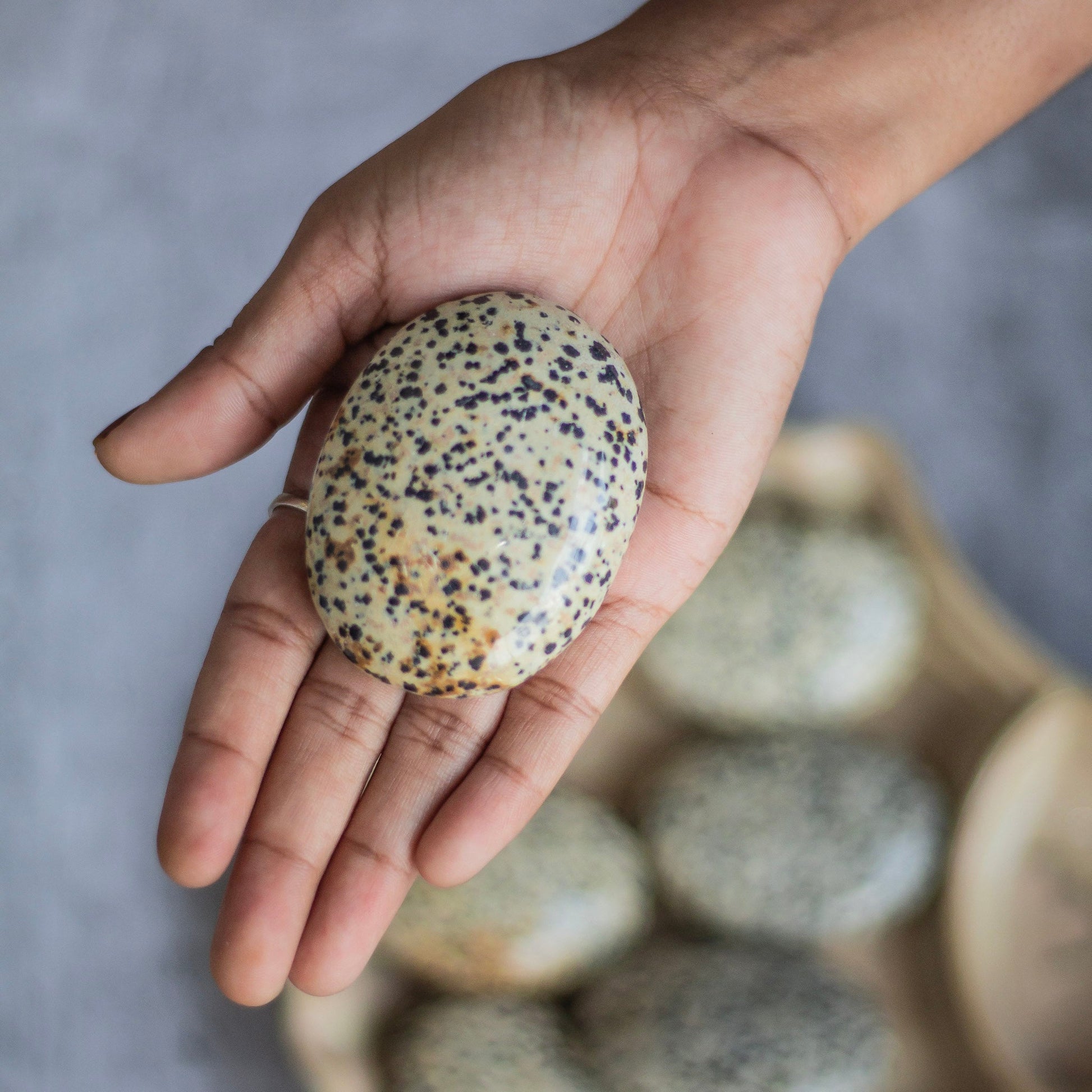 Dalmatian Jasper Palm Stone | Promotes Joy & Release Negativity Crystal Stones