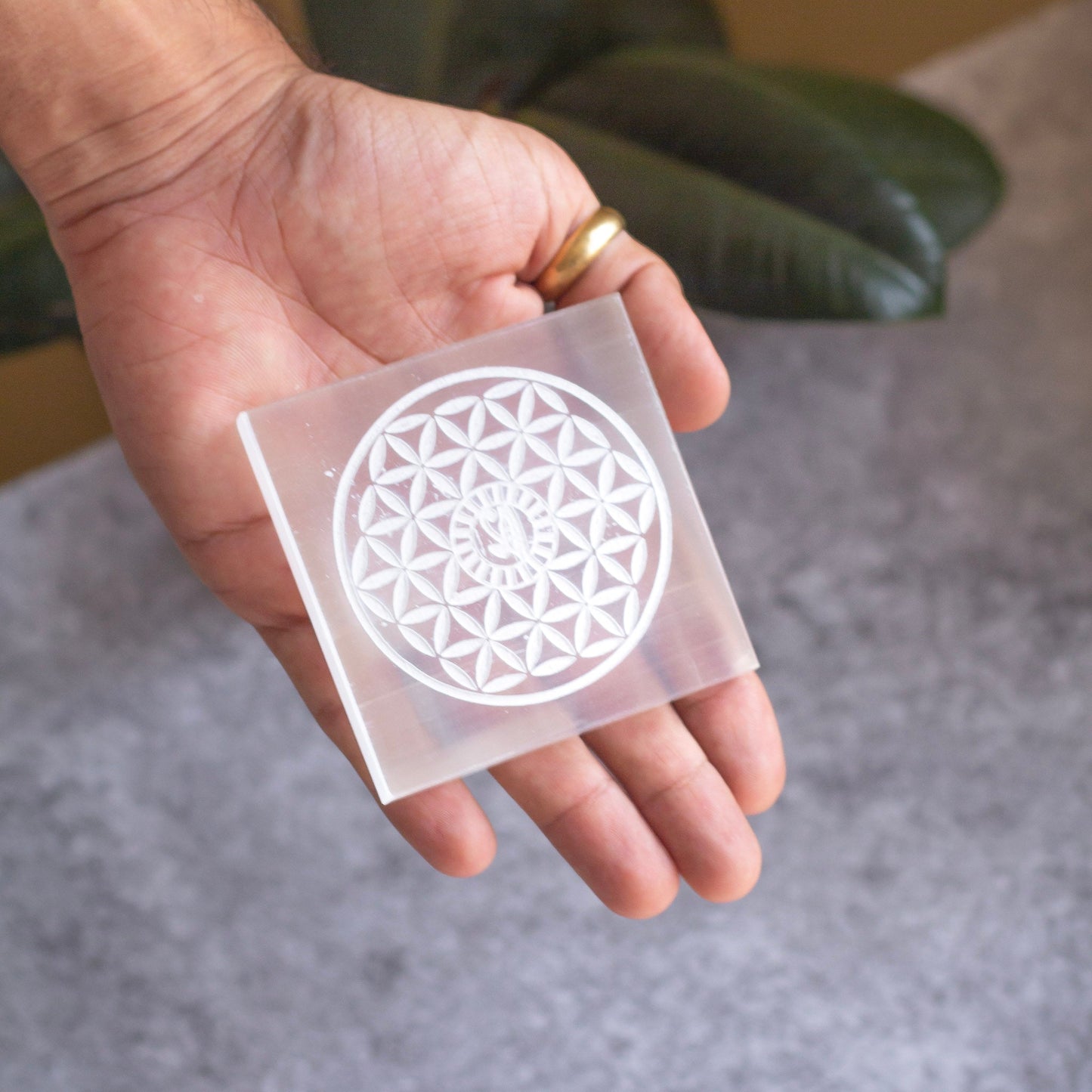 Selenite Charging Plate With Eye Of Horus | Crystal