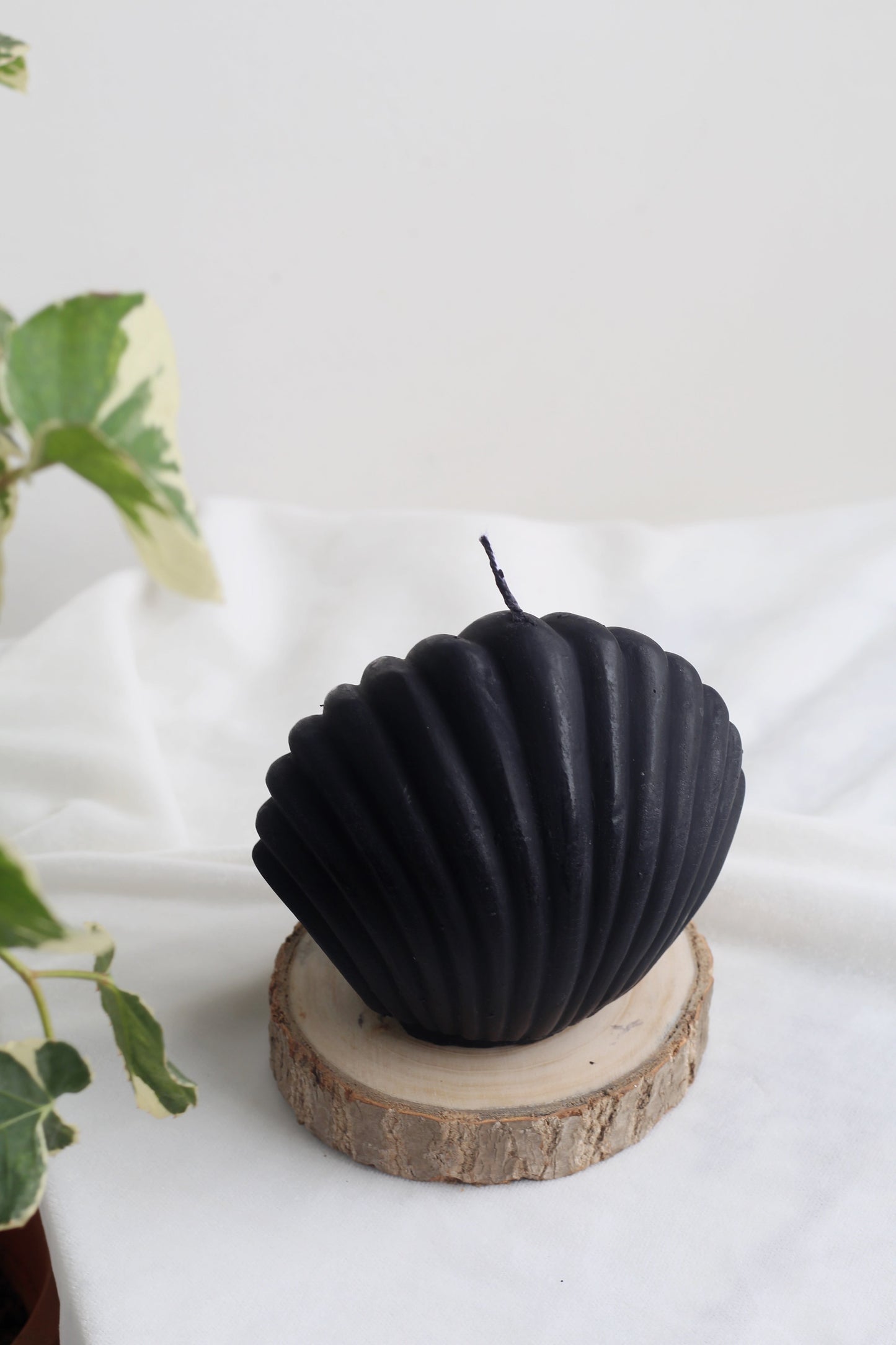 Black Shell Soy Candle