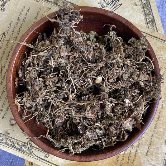 Deer Tongue Herb - 30 Gram Herbs