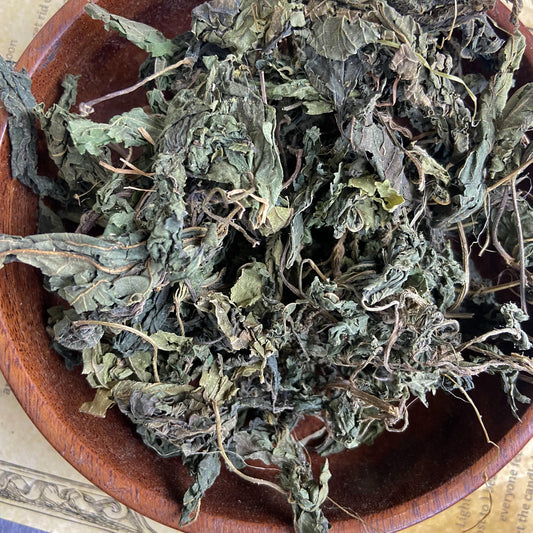 Stinging Nettle -30 Gm Herbs & Roots