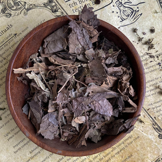 Patchouli Dried 50 Gm Herbs & Roots