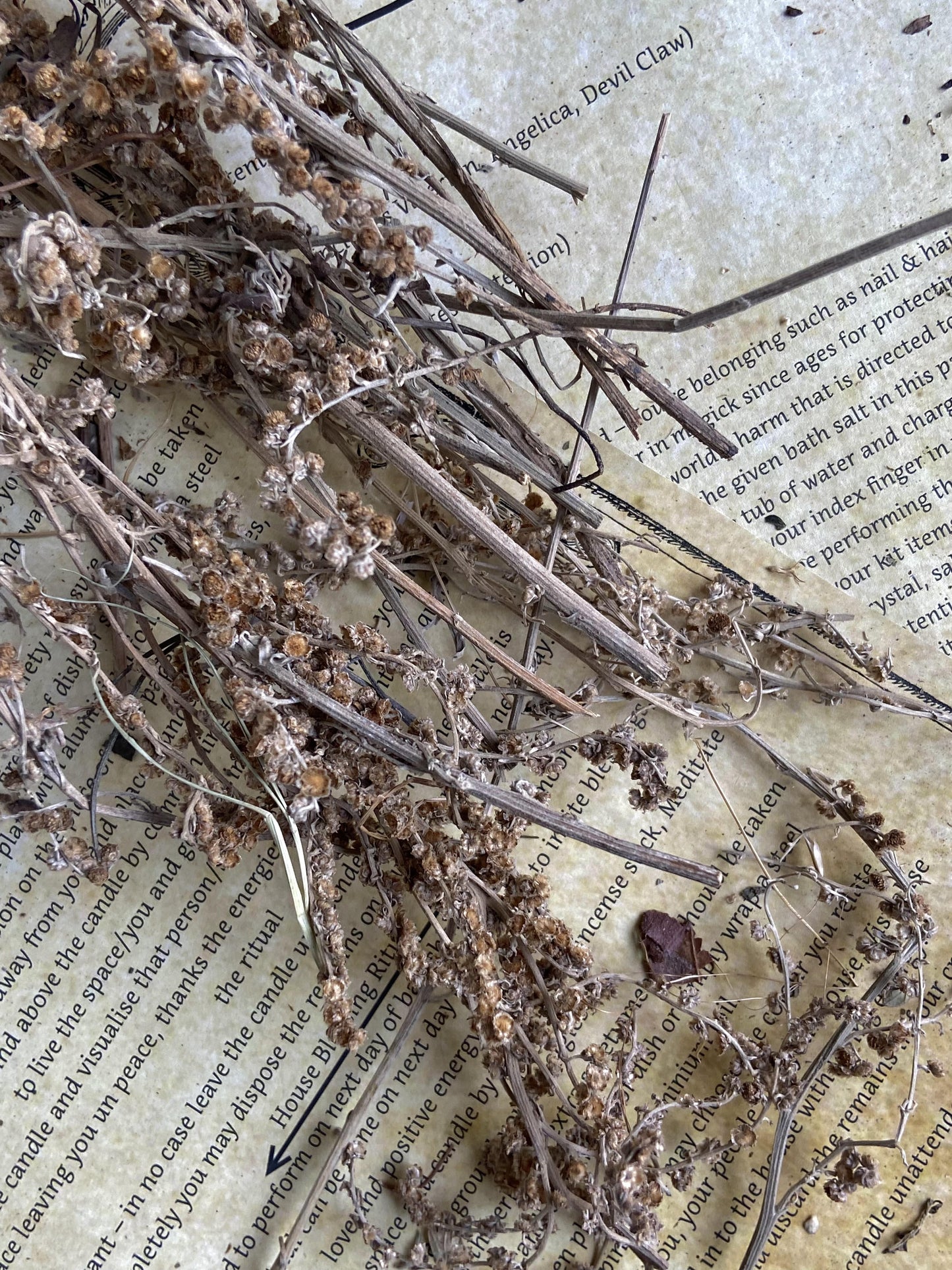 Wormwood Dried - 30 Gm Herbs & Roots