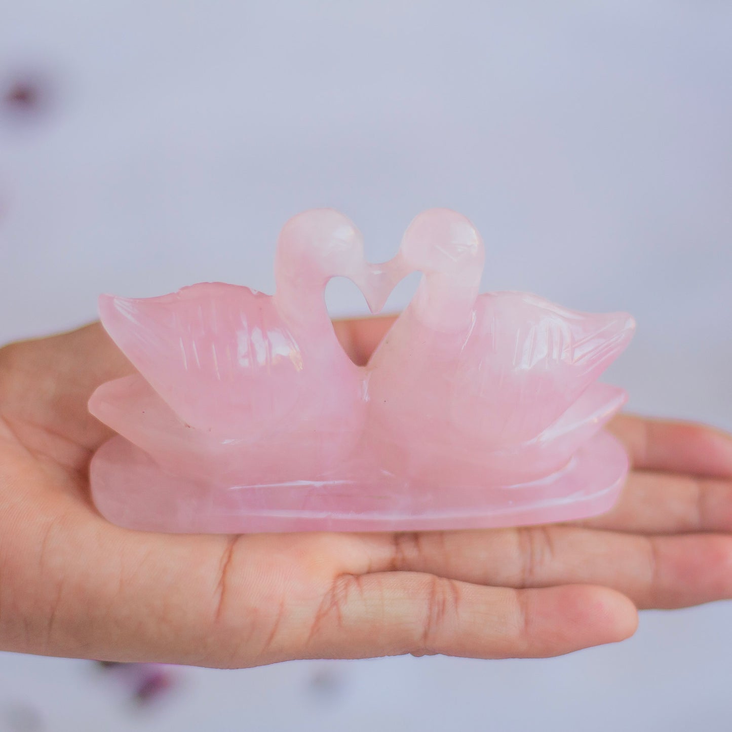 Rose Quartz Duck | Mandarin Duck | Romantic Relationship