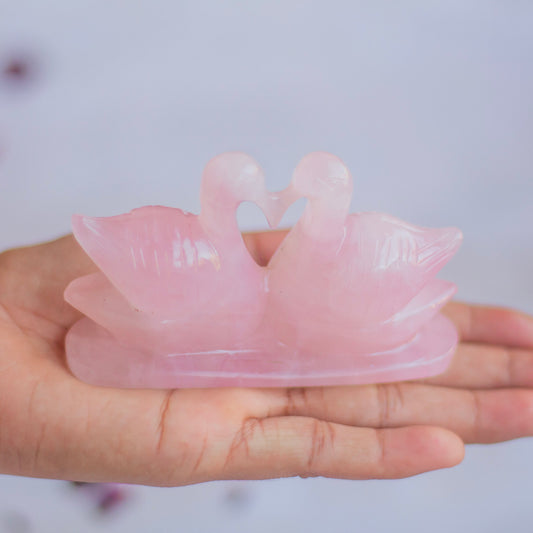 Rose Quartz Duck | Mandarin Duck | Romantic Relationship