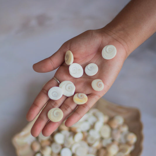 Gomti Chakra - Set of 7 | Wealth & Prosperity