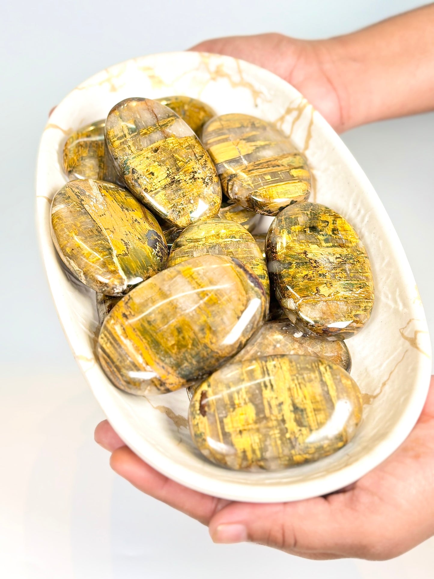 Natural Nellite Palm Stone