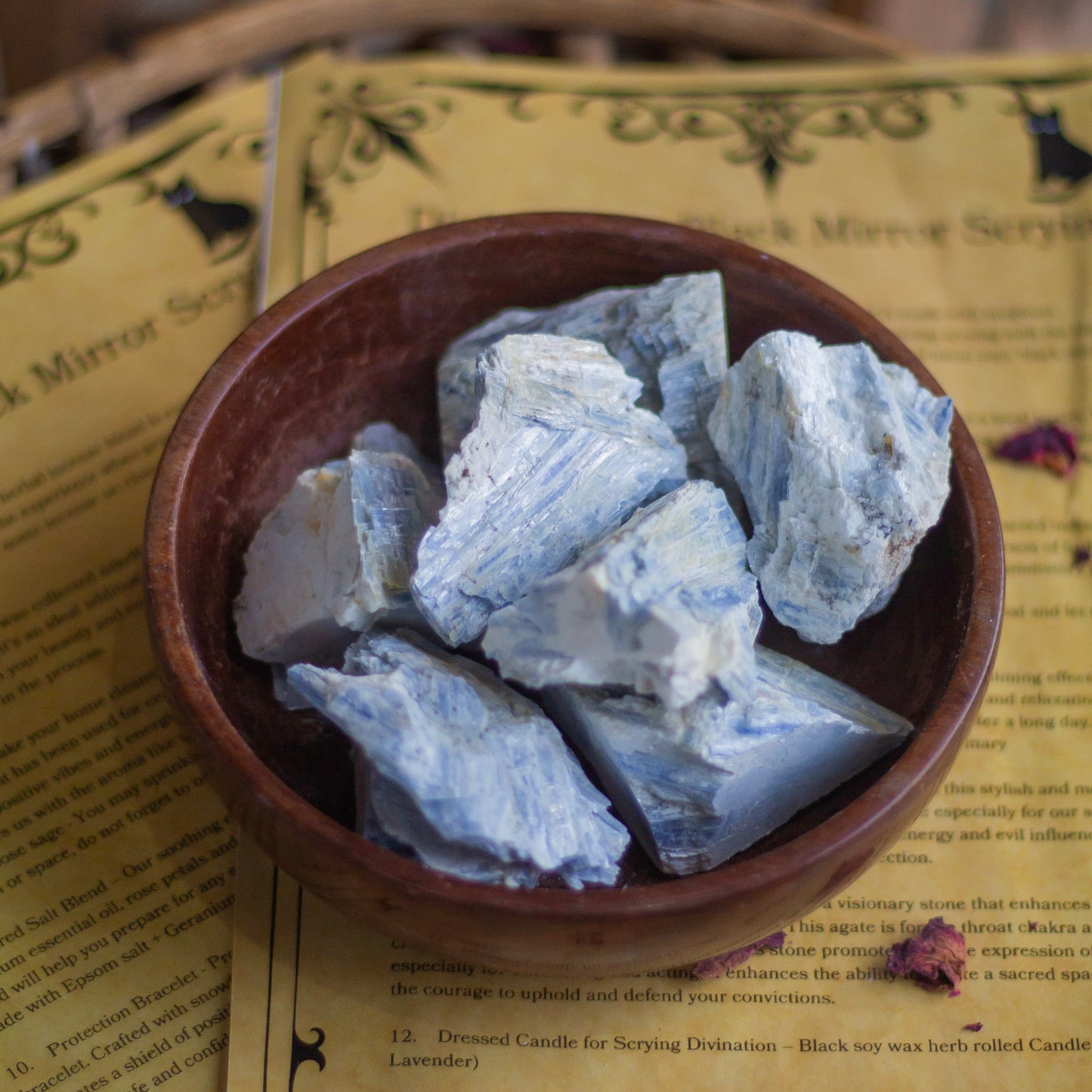 Kyanite Raw Small Stone | Enhance telepathy ability & Open Roads & Create Opportunities