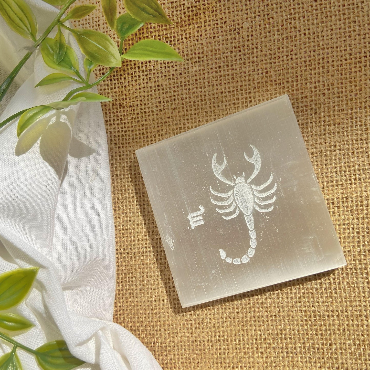 Scorpio Zodiac Carved Selenite Plate - 3 Inches Crystals & Stones