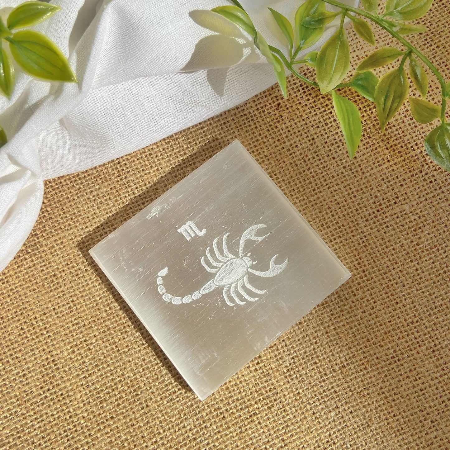 Scorpio Zodiac Carved Selenite Plate - 3 Inches Crystals & Stones