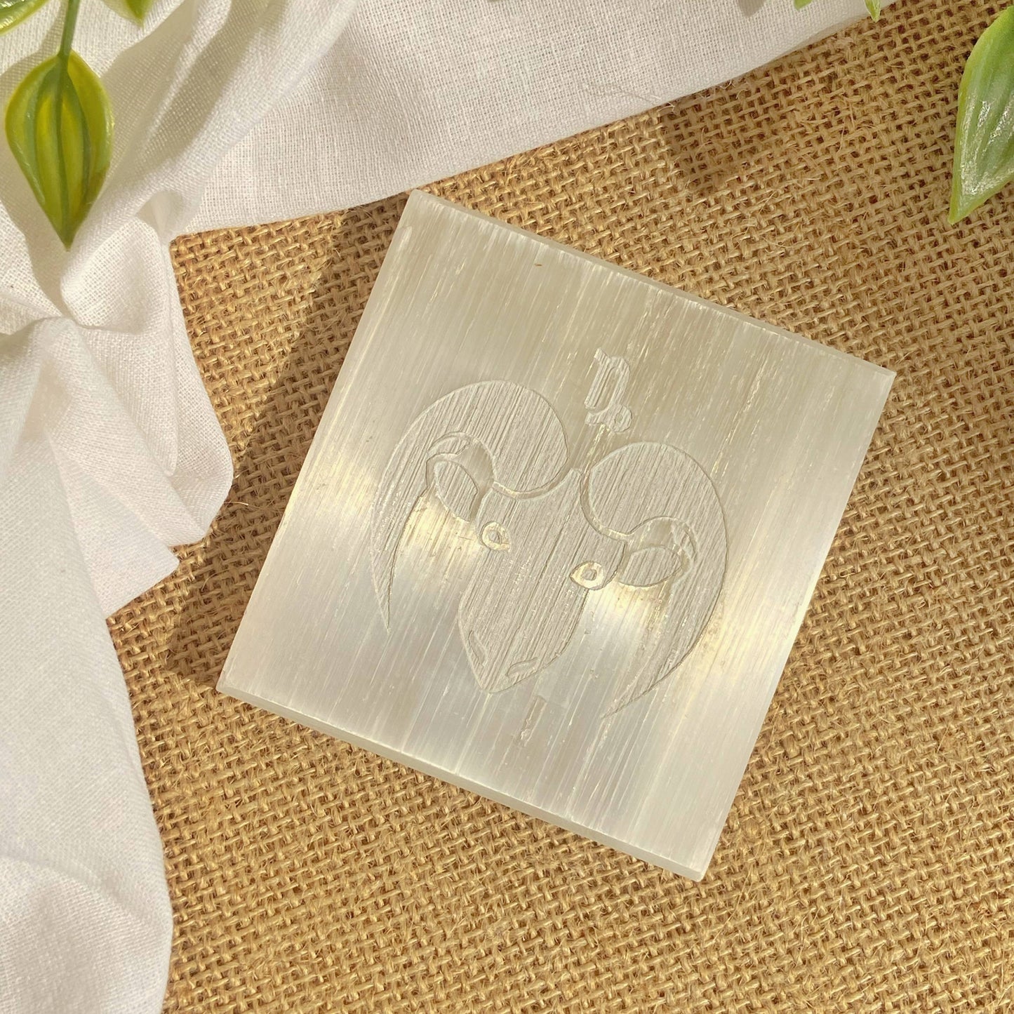 Capricorn Zodiac Carved Selenite Plate - 3 Inches Crystal & Stones