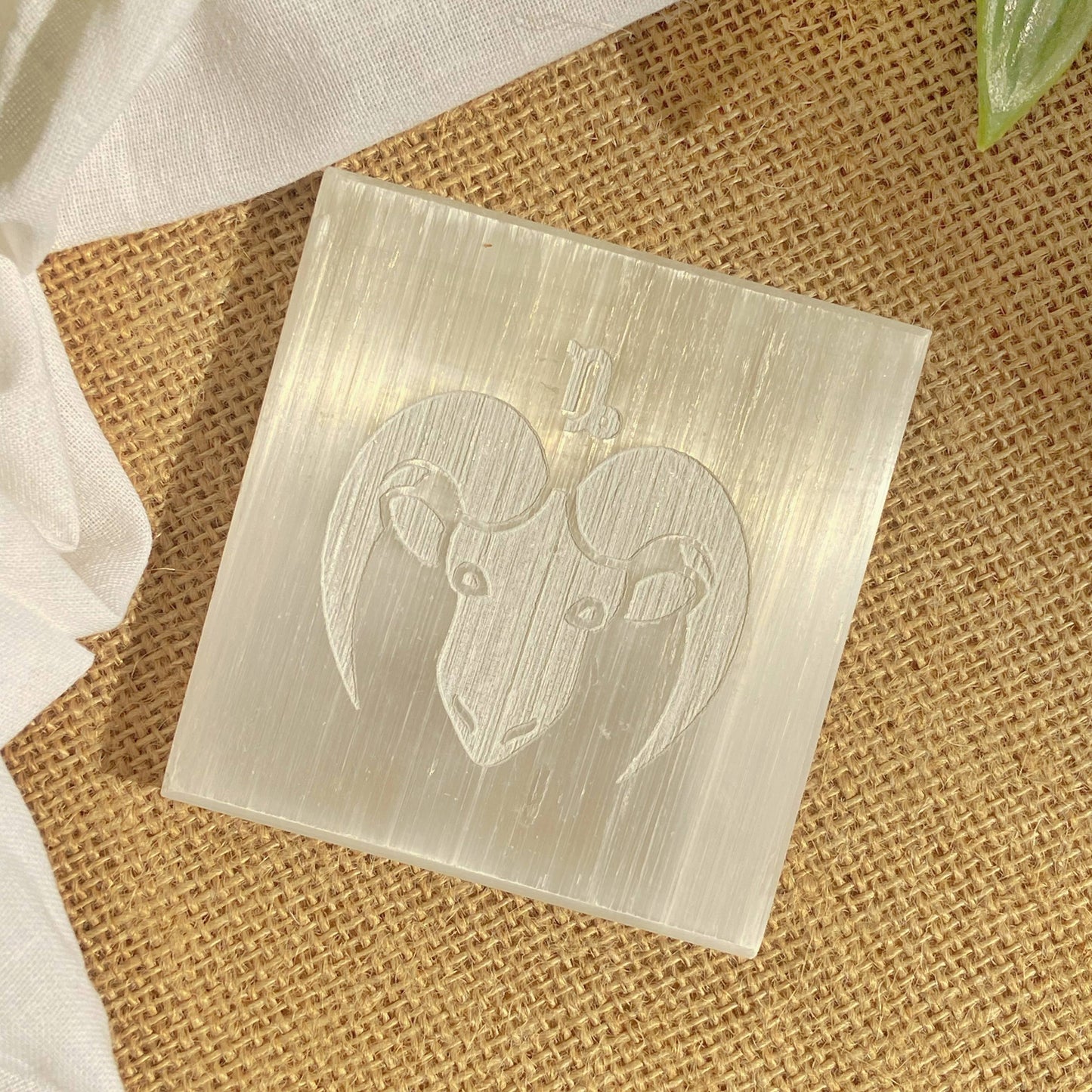 Capricorn Zodiac Carved Selenite Plate - 3 Inches Crystal & Stones