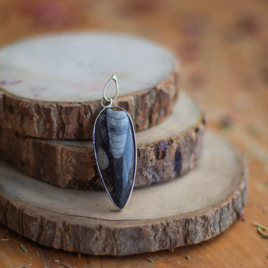 Orthoceras Fossil Pendant with Black Cord