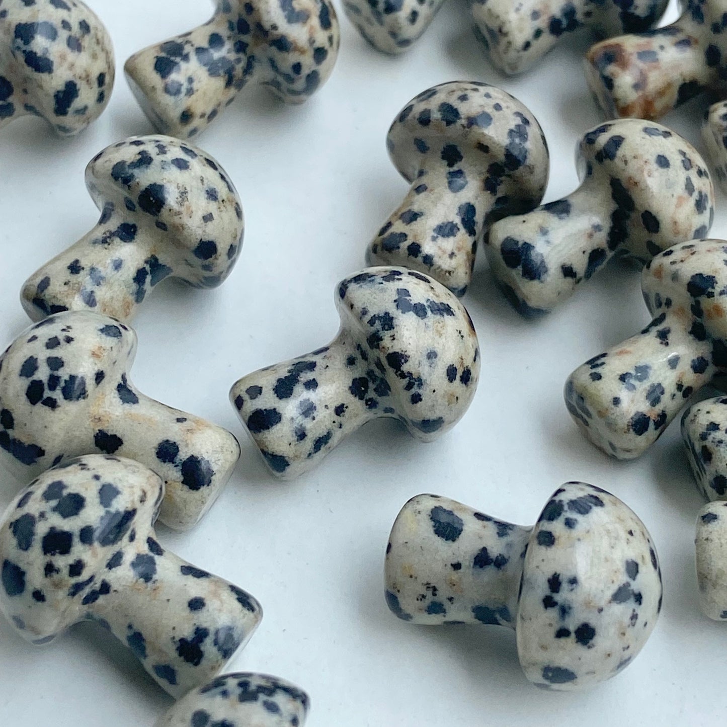 Dalmatian Jasper Mushroom - Pack of 3 | Promotes Joy & Release Negativity