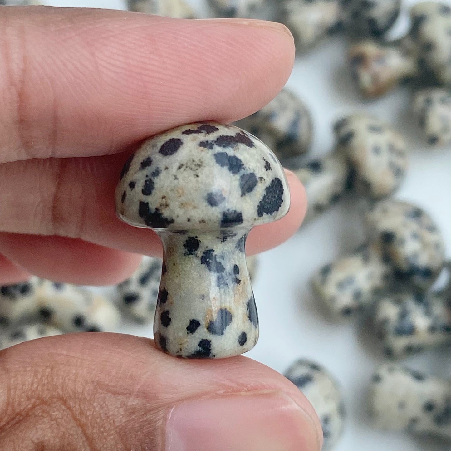 Dalmatian Jasper Mushroom - Pack of 3 | Promotes Joy & Release Negativity